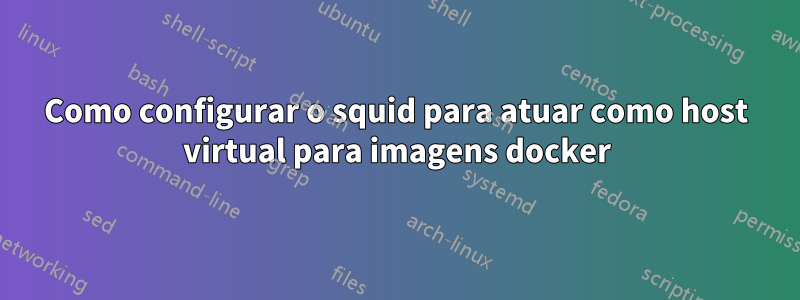 Como configurar o squid para atuar como host virtual para imagens docker