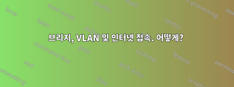 브리지, VLAN 및 인터넷 접속. 어떻게?