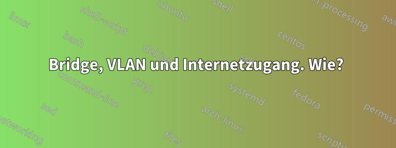 Bridge, VLAN und Internetzugang. Wie?