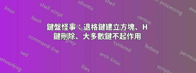 鍵盤怪事：退格鍵建立方塊、H 鍵刪除、大多數鍵不起作用