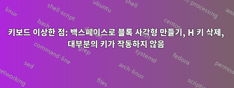 키보드 이상한 점: 백스페이스로 블록 사각형 만들기, H 키 삭제, 대부분의 키가 작동하지 않음