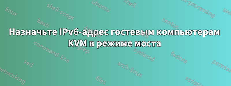 Назначьте IPv6-адрес гостевым компьютерам KVM в режиме моста