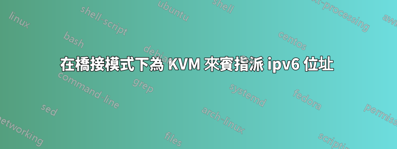 在橋接模式下為 KVM 來賓指派 ipv6 位址