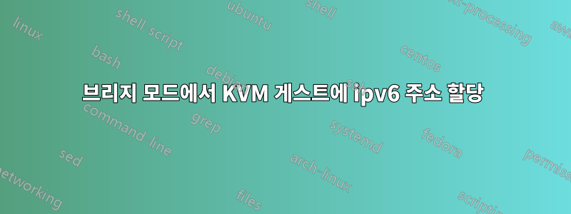 브리지 모드에서 KVM 게스트에 ipv6 주소 할당