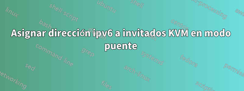 Asignar dirección ipv6 a invitados KVM en modo puente