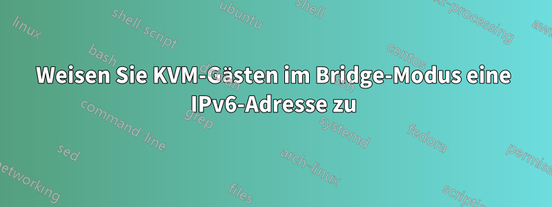 Weisen Sie KVM-Gästen im Bridge-Modus eine IPv6-Adresse zu