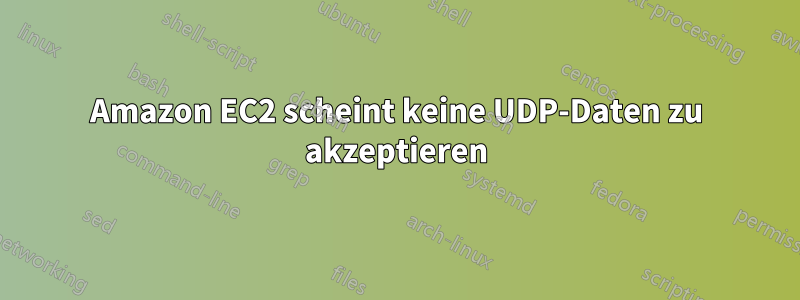 Amazon EC2 scheint keine UDP-Daten zu akzeptieren