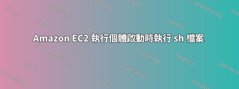 Amazon EC2 執行個體啟動時執行 sh 檔案