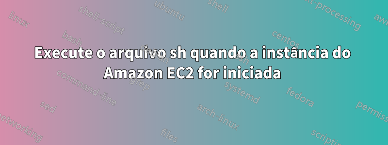 Execute o arquivo sh quando a instância do Amazon EC2 for iniciada