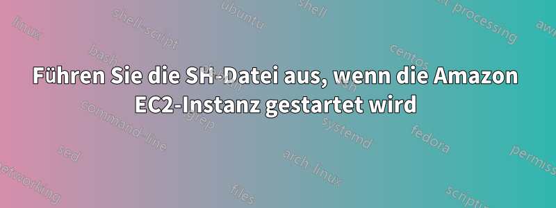 Führen Sie die SH-Datei aus, wenn die Amazon EC2-Instanz gestartet wird