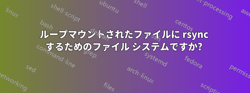 ループマウントされたファイルに rsync するためのファイル システムですか?