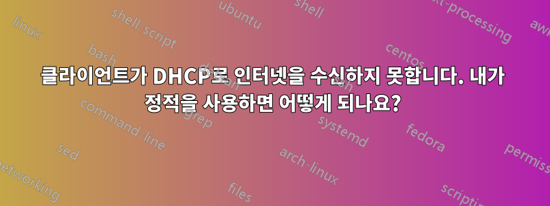 클라이언트가 DHCP로 인터넷을 수신하지 못합니다. 내가 정적을 사용하면 어떻게 되나요?