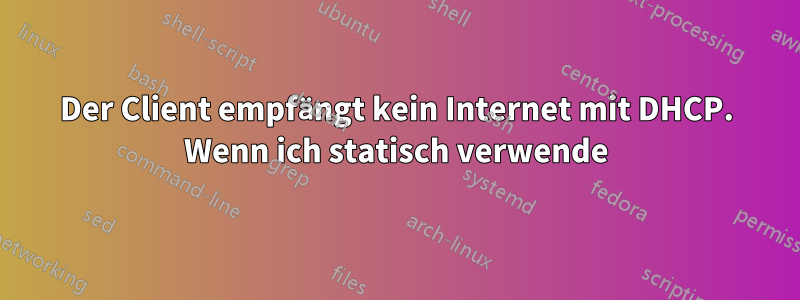 Der Client empfängt kein Internet mit DHCP. Wenn ich statisch verwende