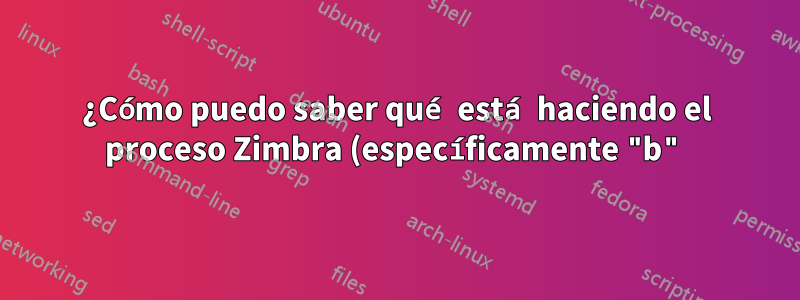 ¿Cómo puedo saber qué está haciendo el proceso Zimbra (específicamente "b")?