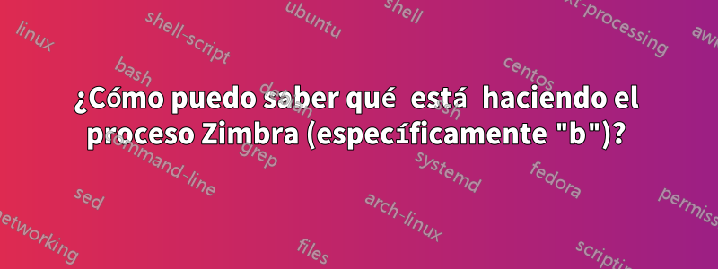 ¿Cómo puedo saber qué está haciendo el proceso Zimbra (específicamente "b")?