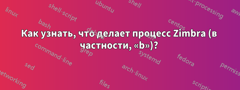 Как узнать, что делает процесс Zimbra (в частности, «b»)?