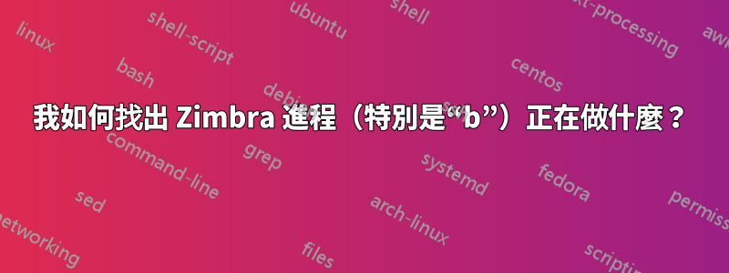 我如何找出 Zimbra 進程（特別是“b”）正在做什麼？