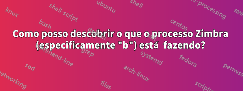 Como posso descobrir o que o processo Zimbra (especificamente "b") está fazendo?