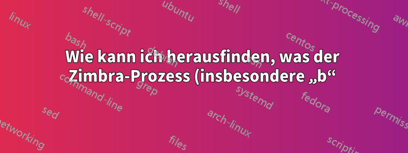 Wie kann ich herausfinden, was der Zimbra-Prozess (insbesondere „b“) macht?
