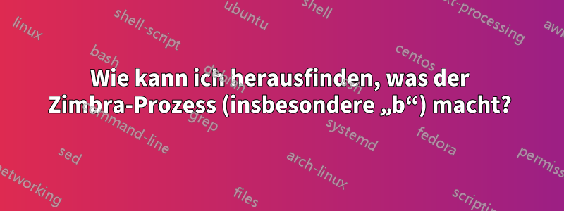 Wie kann ich herausfinden, was der Zimbra-Prozess (insbesondere „b“) macht?