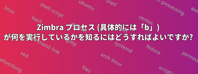 Zimbra プロセス (具体的には「b」) が何を実行しているかを知るにはどうすればよいですか?