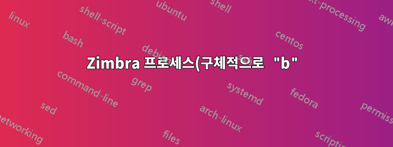 Zimbra 프로세스(구체적으로 "b")가 무엇을 하고 있는지 어떻게 알 수 있나요?