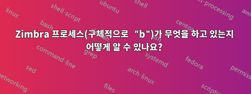 Zimbra 프로세스(구체적으로 "b")가 무엇을 하고 있는지 어떻게 알 수 있나요?