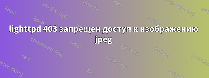 lighttpd 403 запрещен доступ к изображению jpeg