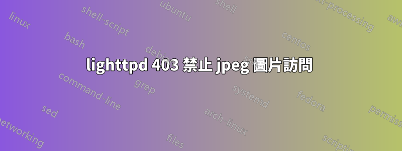 lighttpd 403 禁止 jpeg 圖片訪問