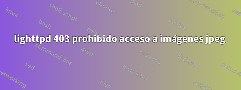 lighttpd 403 prohibido acceso a imágenes jpeg