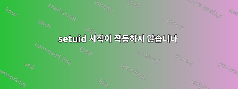 setuid 시작이 작동하지 않습니다