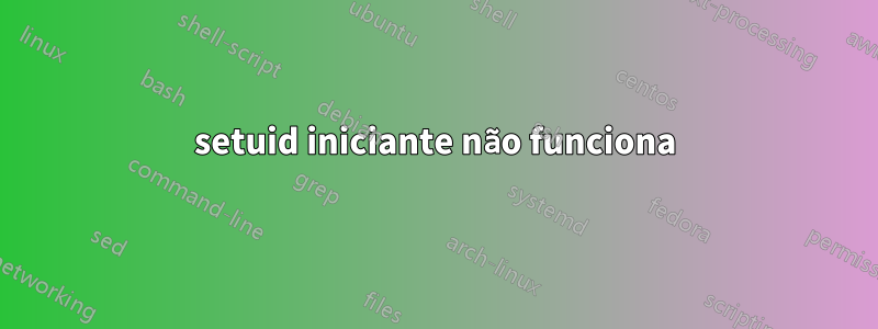 setuid iniciante não funciona