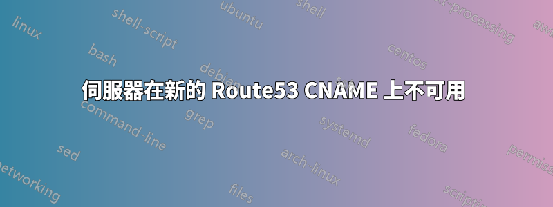 伺服器在新的 Route53 CNAME 上不可用