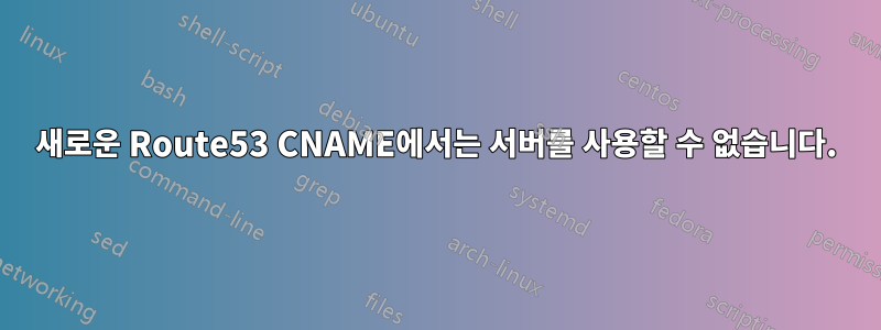 새로운 Route53 CNAME에서는 서버를 사용할 수 없습니다.