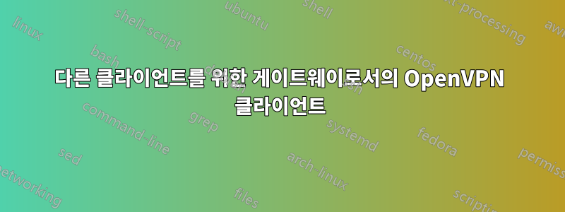 다른 클라이언트를 위한 게이트웨이로서의 OpenVPN 클라이언트