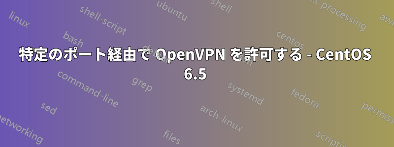 特定のポート経由で OpenVPN を許可する - CentOS 6.5