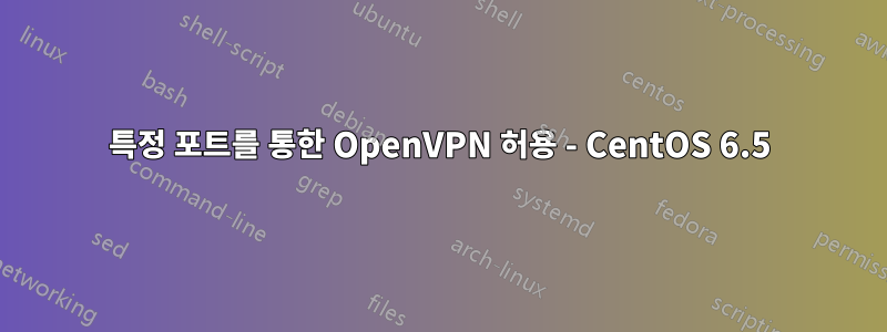 특정 포트를 통한 OpenVPN 허용 - CentOS 6.5