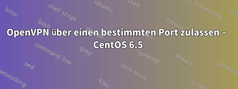 OpenVPN über einen bestimmten Port zulassen – CentOS 6.5