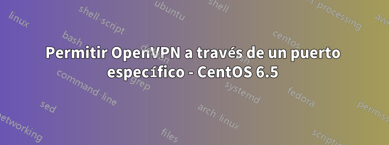 Permitir OpenVPN a través de un puerto específico - CentOS 6.5