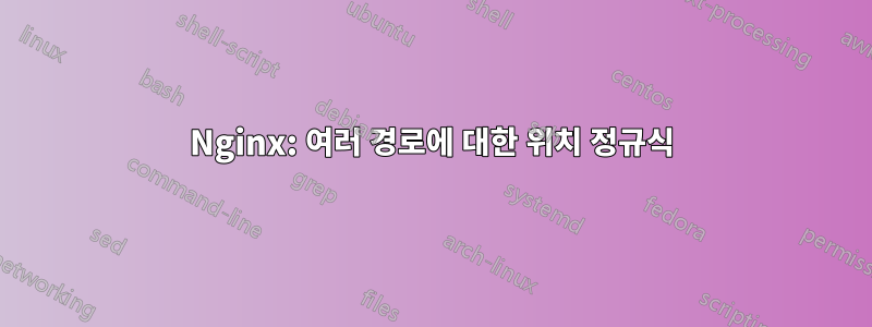 Nginx: 여러 경로에 대한 위치 정규식