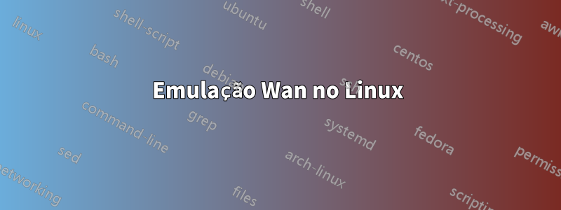 Emulação Wan no Linux