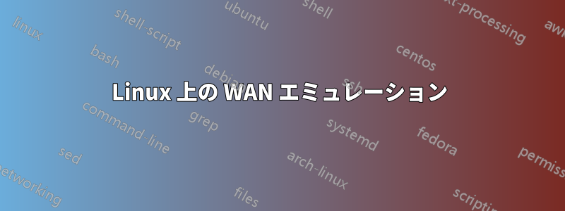 Linux 上の WAN エミュレーション