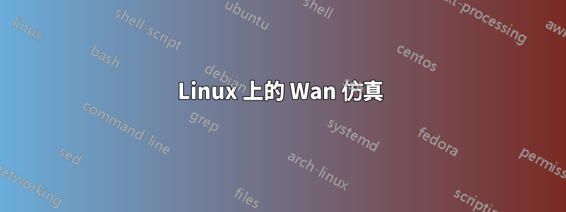 Linux 上的 Wan 仿真