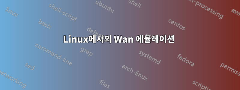 Linux에서의 Wan 에뮬레이션