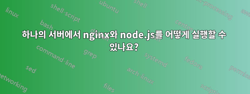 하나의 서버에서 nginx와 node.js를 어떻게 실행할 수 있나요?