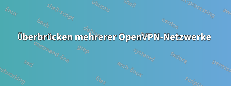 Überbrücken mehrerer OpenVPN-Netzwerke