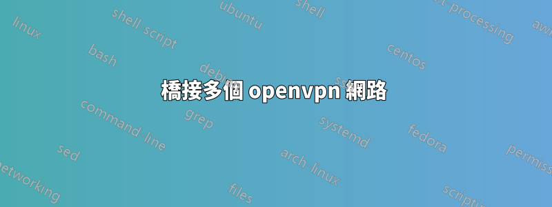 橋接多個 openvpn 網路