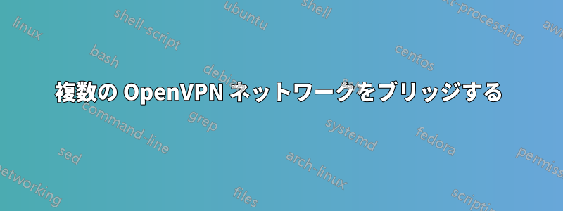 複数の OpenVPN ネットワークをブリッジする