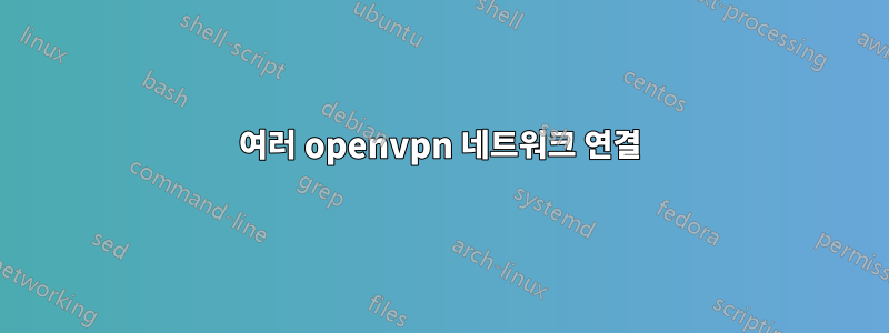 여러 openvpn 네트워크 연결