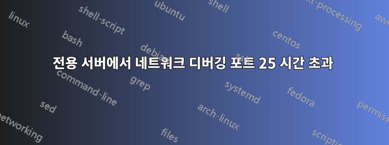 전용 서버에서 네트워크 디버깅 포트 25 시간 초과